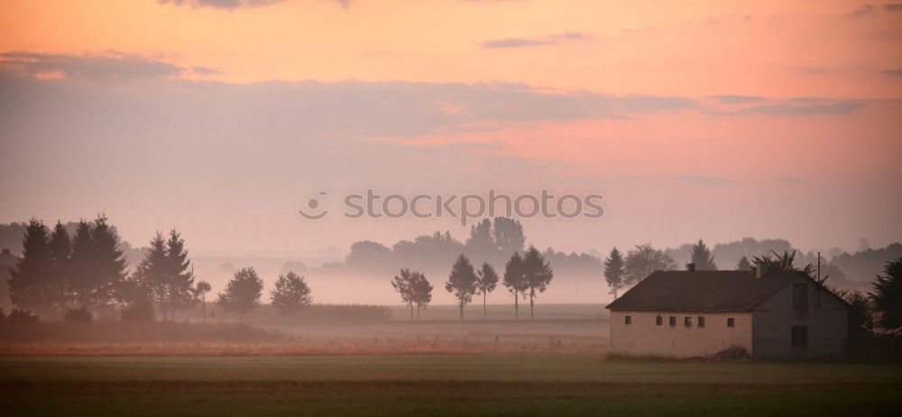 Similar – Image, Stock Photo petal Nature Landscape Sky