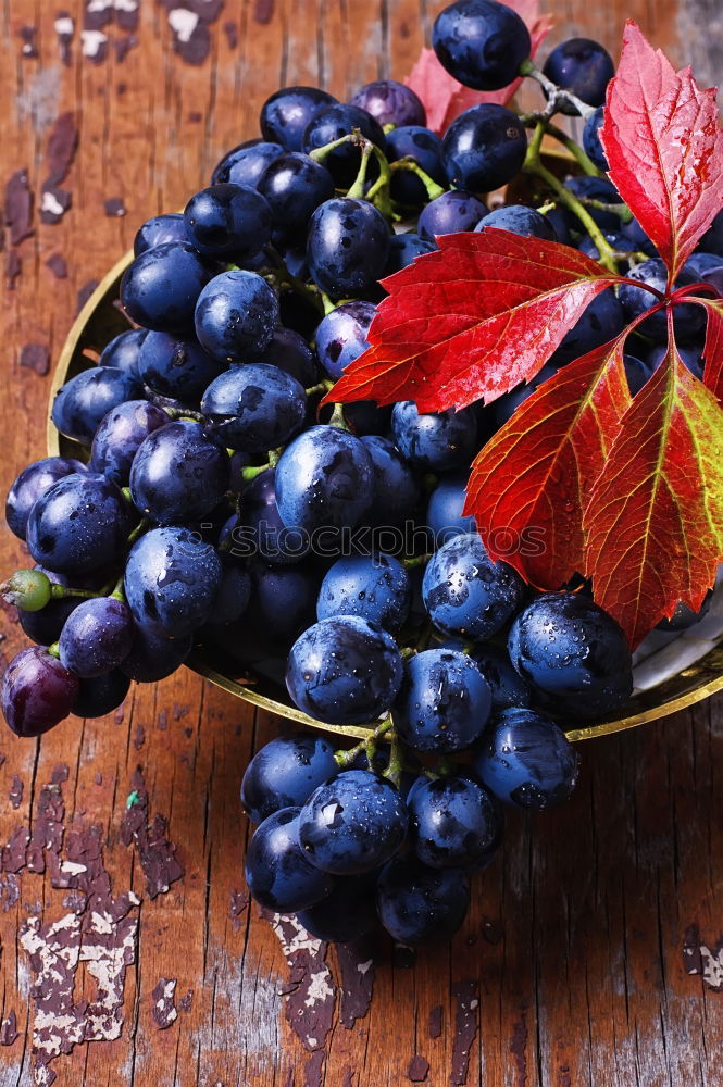 Similar – Image, Stock Photo Mirabelle plums, plums and grapes