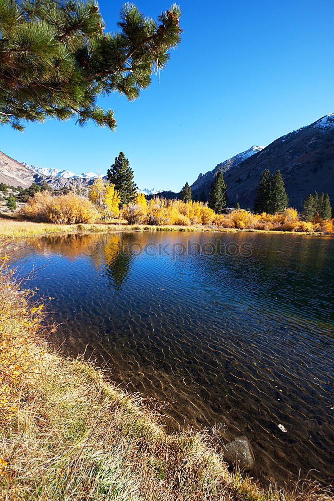 Similar – Foto Bild Yosemite II See Baum grün