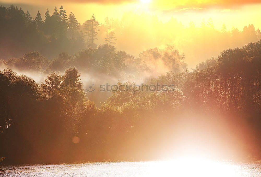 Similar – Image, Stock Photo smoke forest Environment