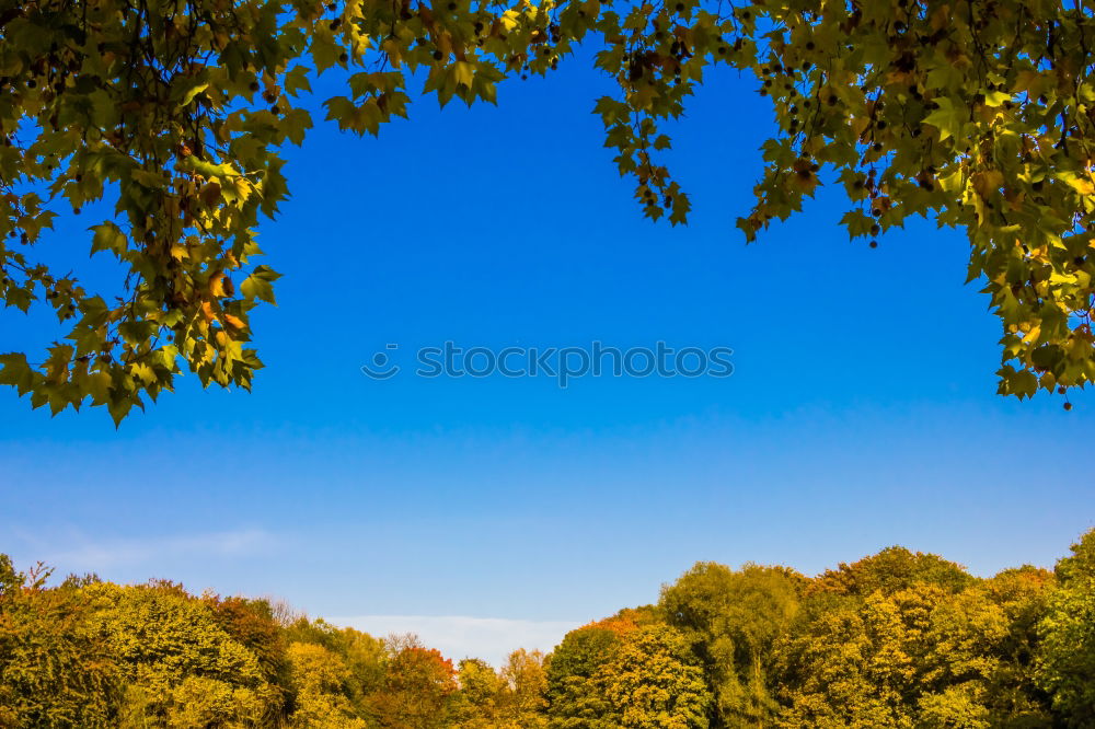 Similar – Image, Stock Photo Autumn landscape with a lake and trees