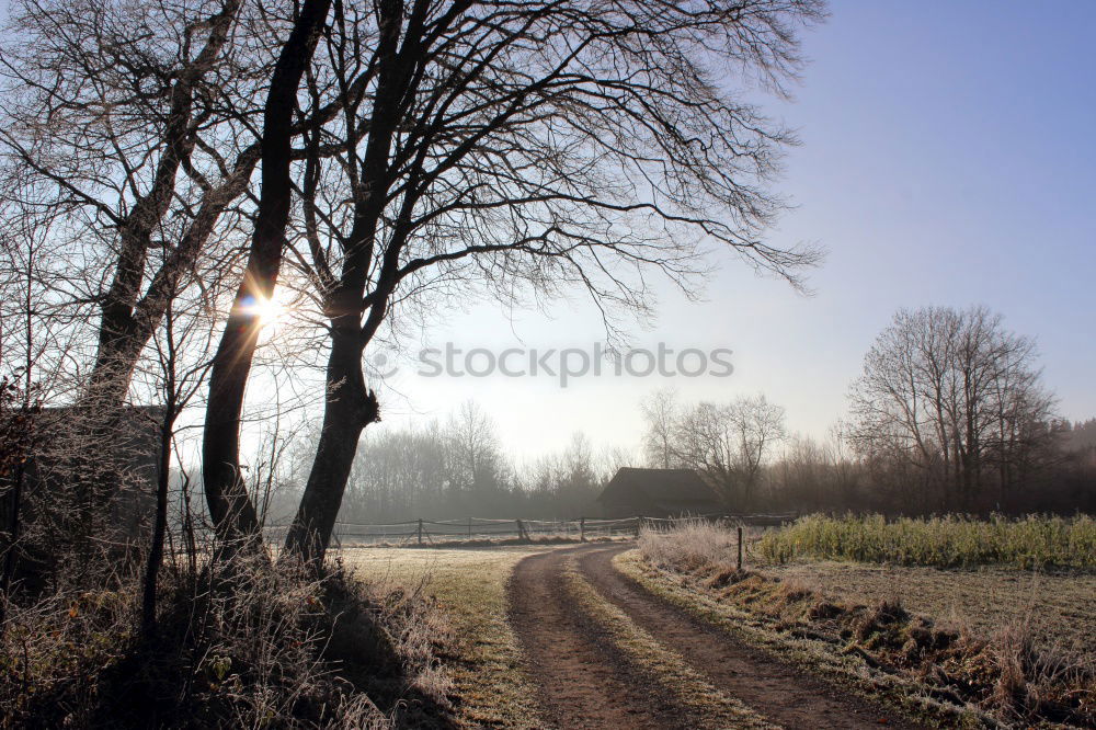 Similar – Foto Bild Winterapfel Apfel Eis