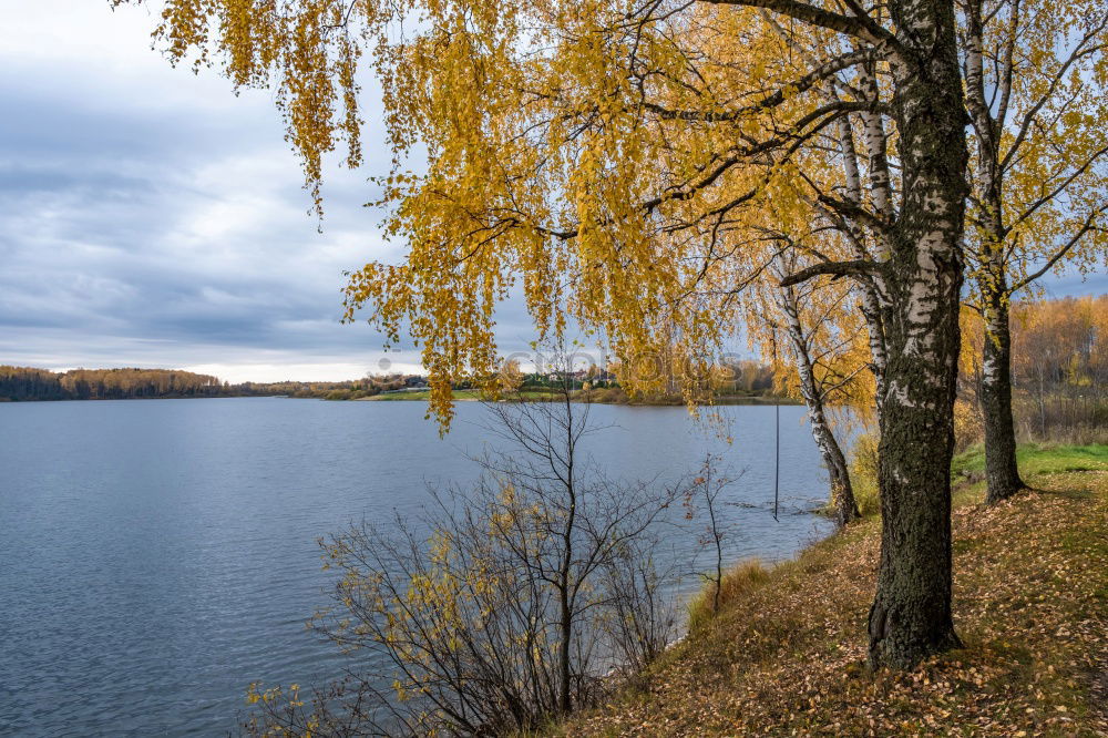 Similar – Image, Stock Photo spring lake Tree Lake Calm