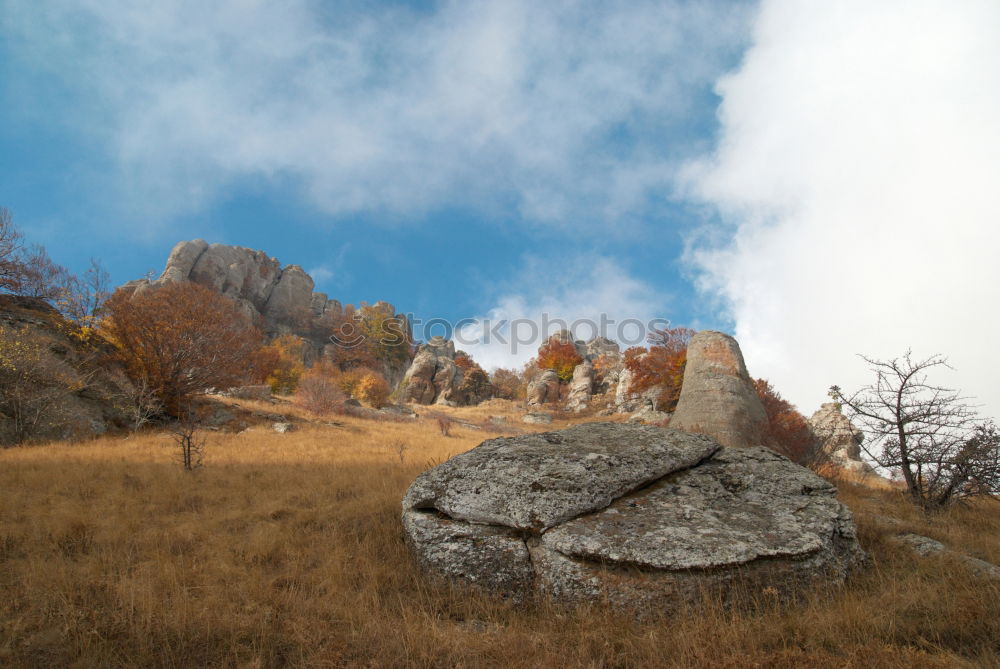 Similar – View of autumn Autumn