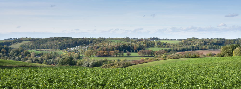 Similar – Image, Stock Photo Green Green Green Tourism