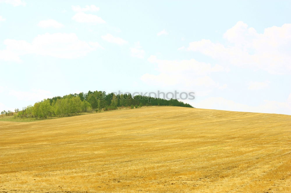 Similar – Image, Stock Photo midsummer Landscape