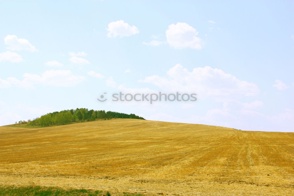 Similar – Image, Stock Photo harvest time Environment