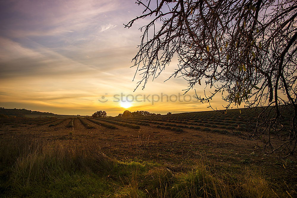 Similar – Image, Stock Photo Müritz Lake Interior lake