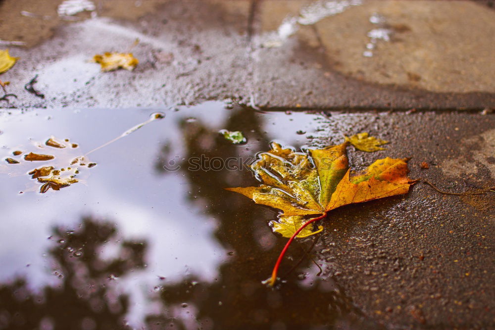 Kreisel Herbst Wetter