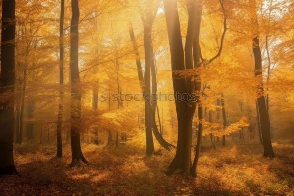 Similar – Image, Stock Photo red october Environment