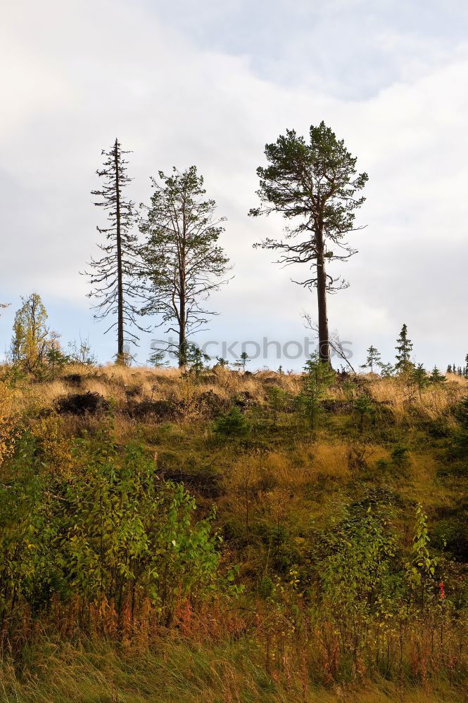 Similar – Landscape Zufriedenheit