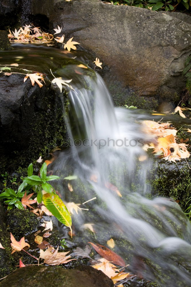 Similar – Image, Stock Photo pure nature Waterfall