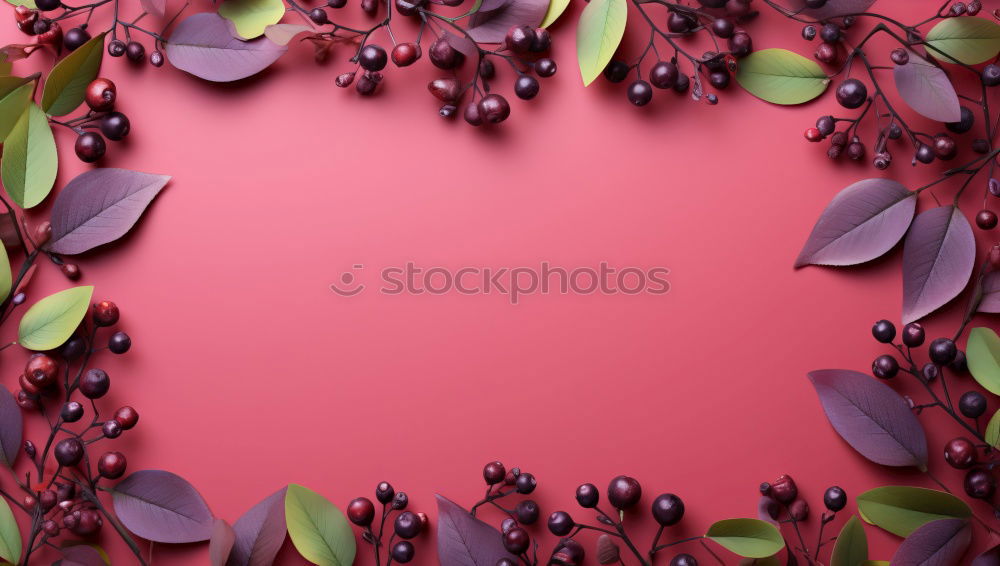 Similar – Image, Stock Photo chaenomeles japonica on coral color