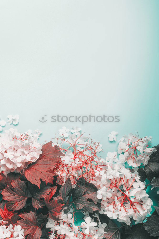 Similar – Image, Stock Photo hug Beautiful Environment