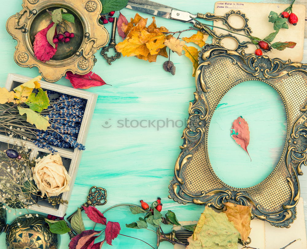 Similar – Image, Stock Photo Little girl looking at tray filled with Christmas cookies