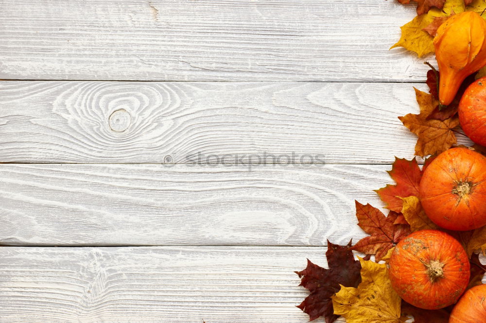 Similar – Image, Stock Photo Pumpkins in wooden box at the pumpkin harvest