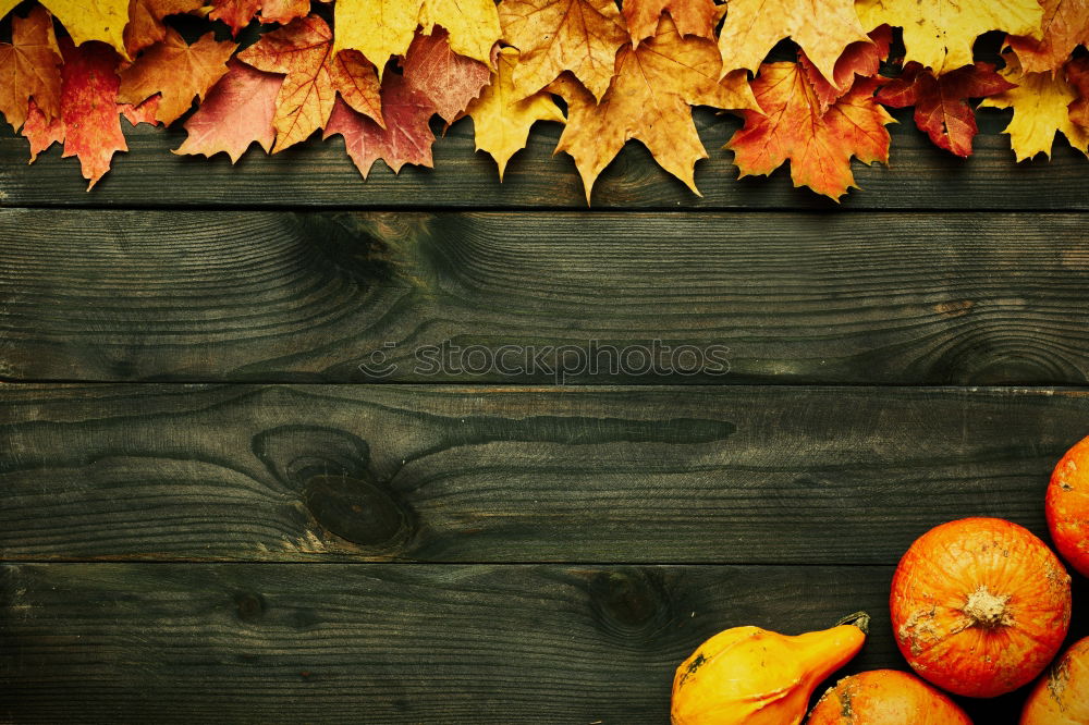 Similar – top view of cozy autumn breakfast on table