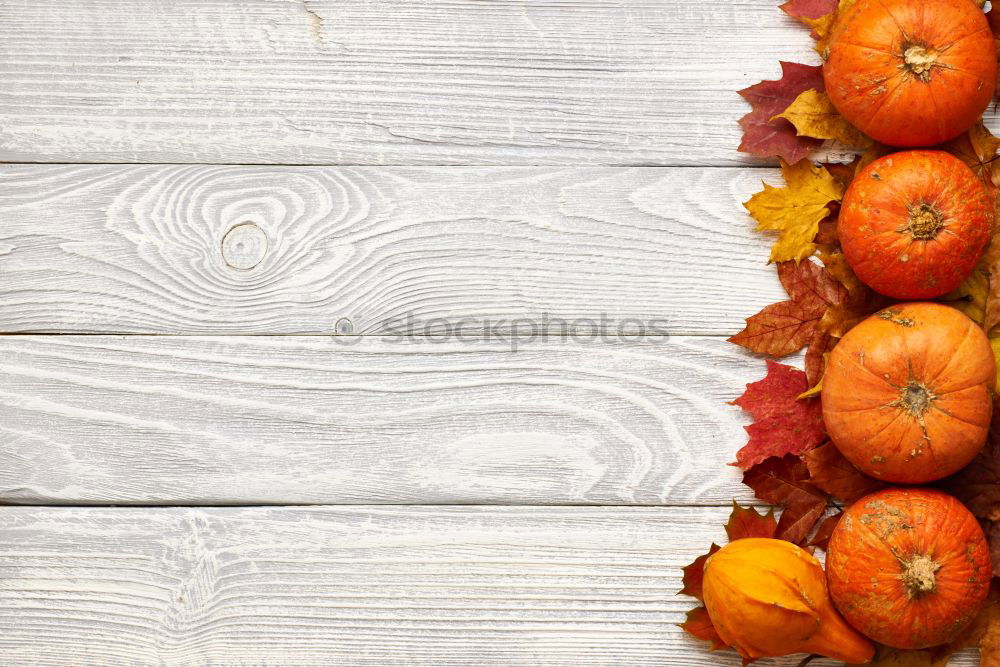 Similar – Image, Stock Photo Pumpkins in wooden box at the pumpkin harvest