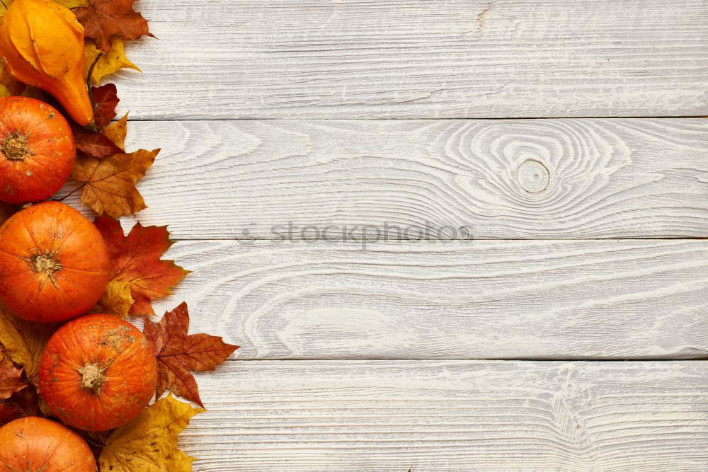 Similar – Image, Stock Photo Pumpkins in wooden box at the pumpkin harvest