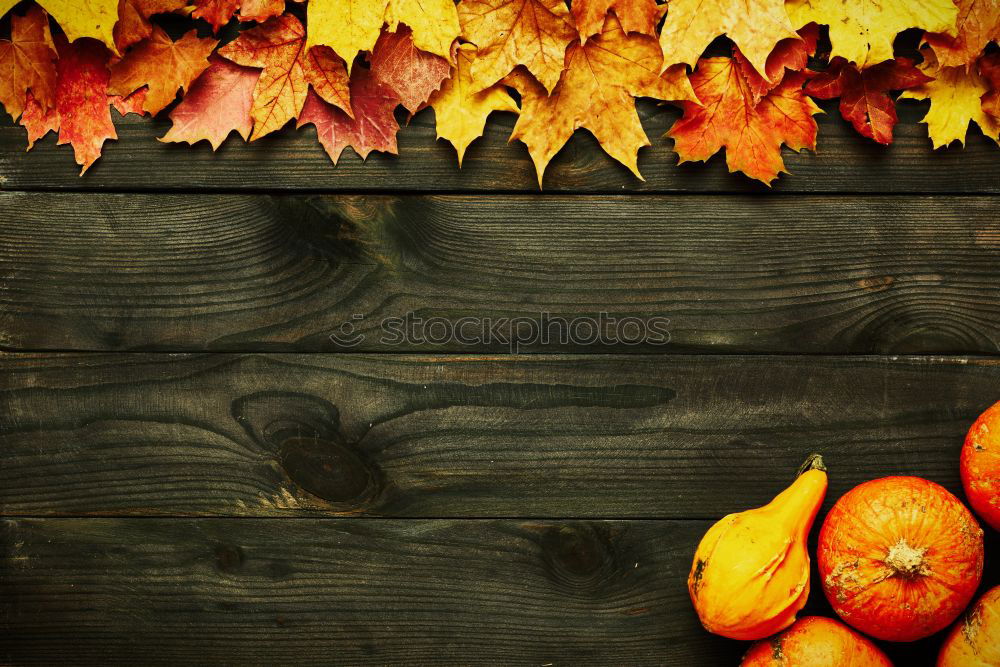 Similar – Autumn atmosphere on the garden table