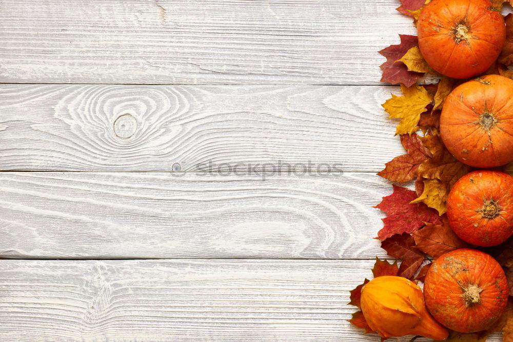 Similar – Image, Stock Photo Pumpkins in wooden box at the pumpkin harvest