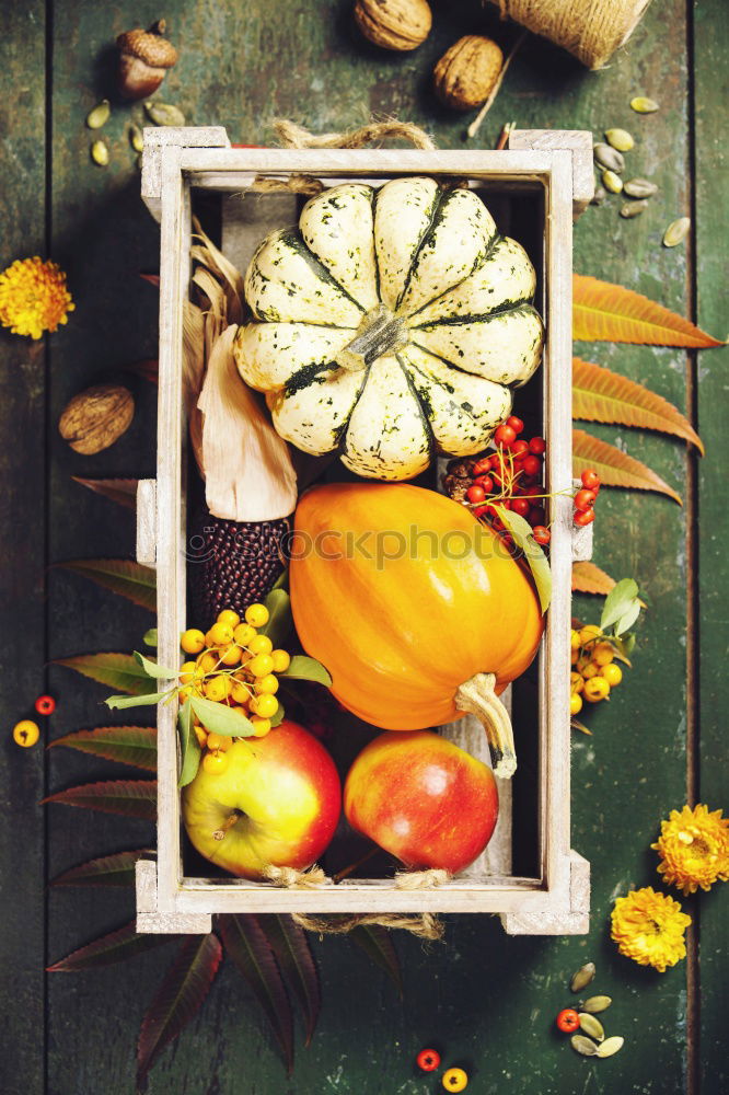 Similar – Image, Stock Photo Pumpkin cake preparation with ingredients and kitchen utensils