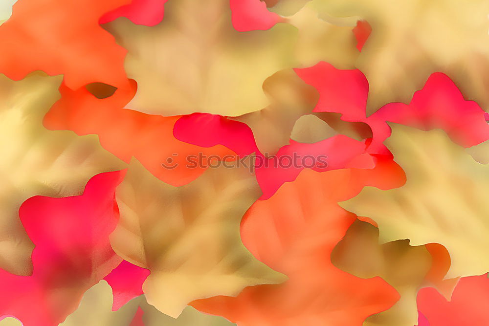 Similar – Image, Stock Photo Dahlia with a light spot