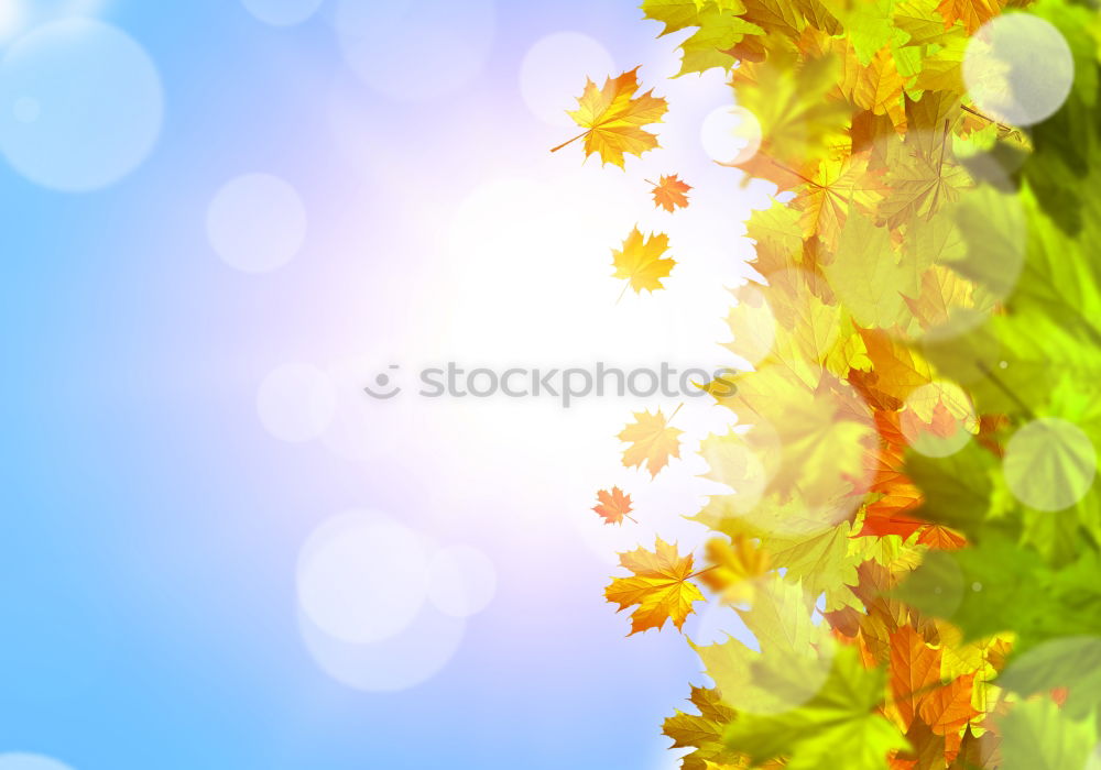 Image, Stock Photo berry brothers Environment