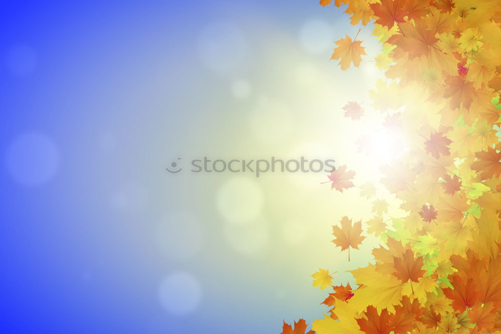 Similar – Goldener Oktober Herbst