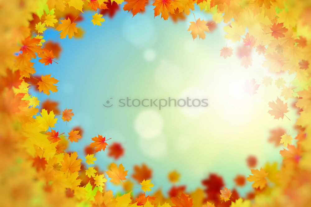 Similar – Goldener Oktober Herbst