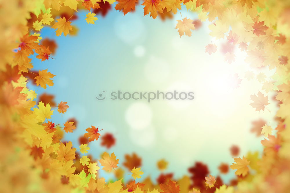 Similar – Goldener Oktober Herbst