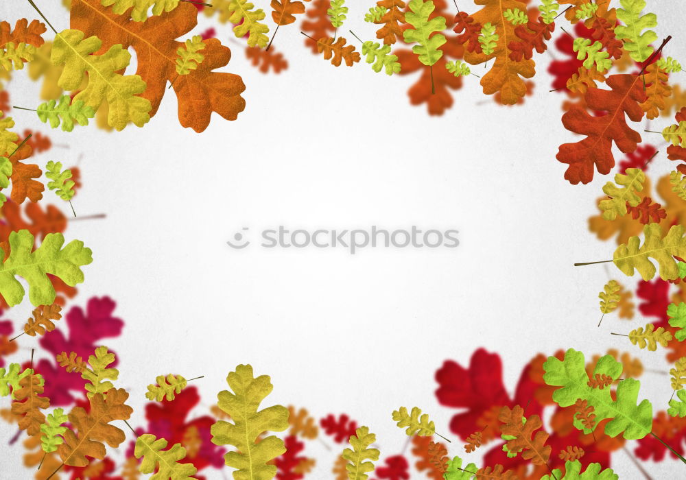 Similar – Bฺlank paper with autumn leaves and pumpkin