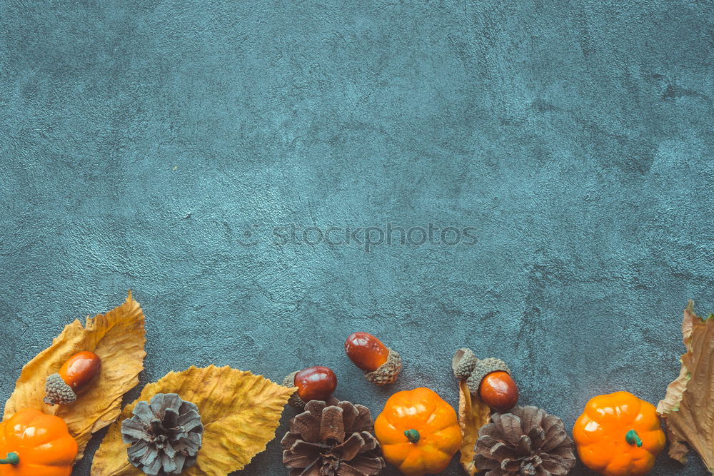 Similar – Image, Stock Photo Autumn flowers and leaves for decoration
