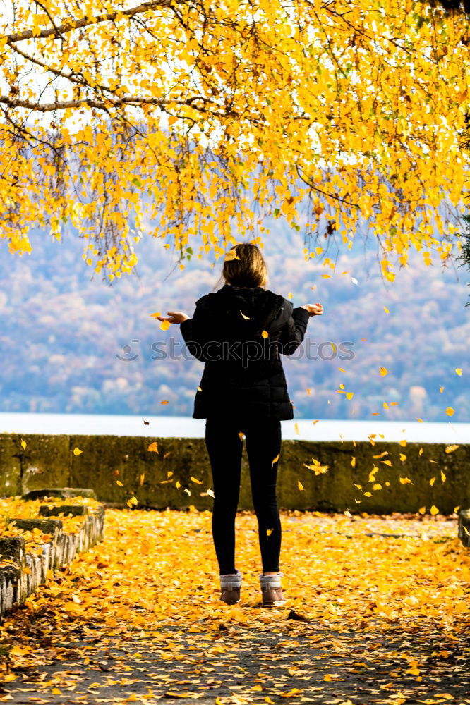 Similar – Image, Stock Photo confessions on bridges