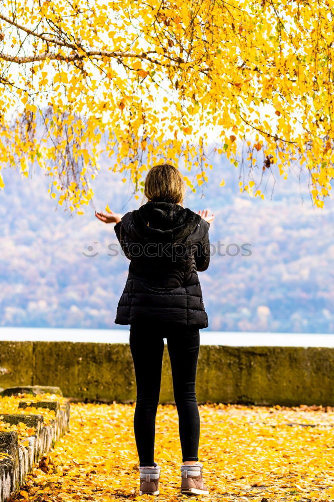 Similar – Image, Stock Photo #A# Through autumn Art