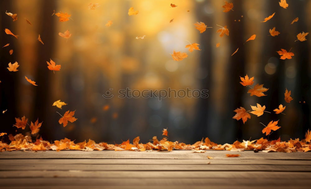 Similar – Foto Bild bunt, bunter, Herbst Blatt