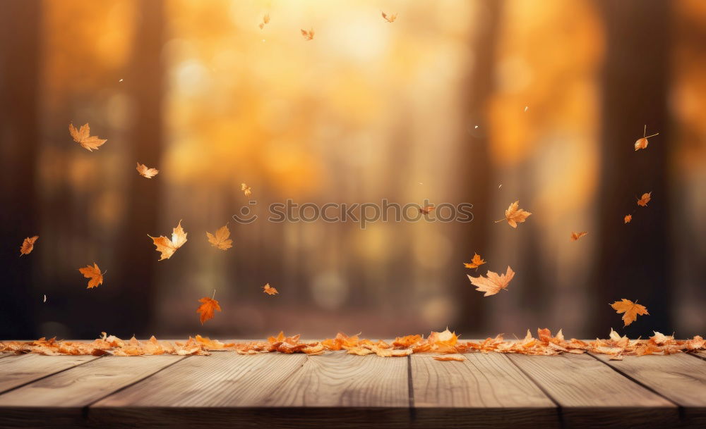 Similar – Image, Stock Photo autumn gold I Nature Plant