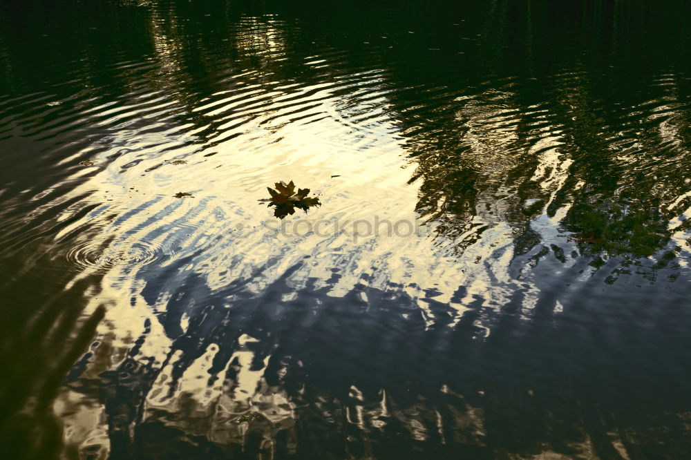 Similar – Image, Stock Photo paddles Nature Water