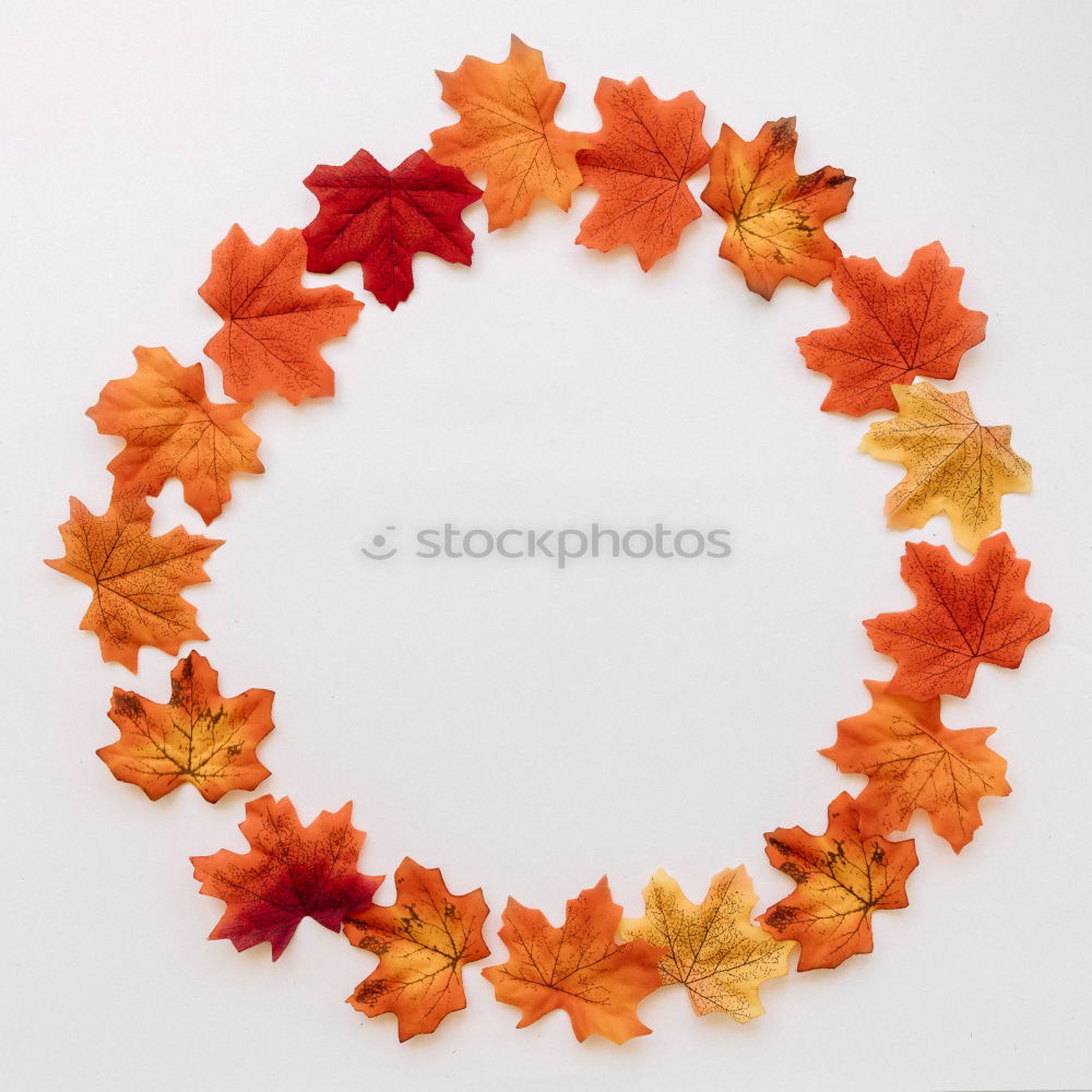 Image, Stock Photo AK# Autumn and its leaves IV