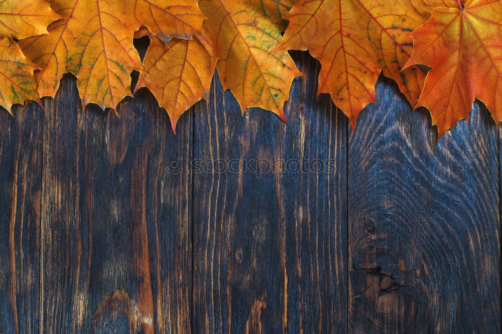 Similar – Image, Stock Photo An Autumn Day in Germany