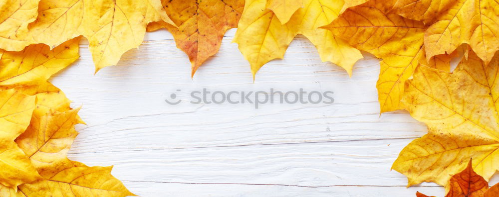 Similar – Blättchen II Gemälde Natur