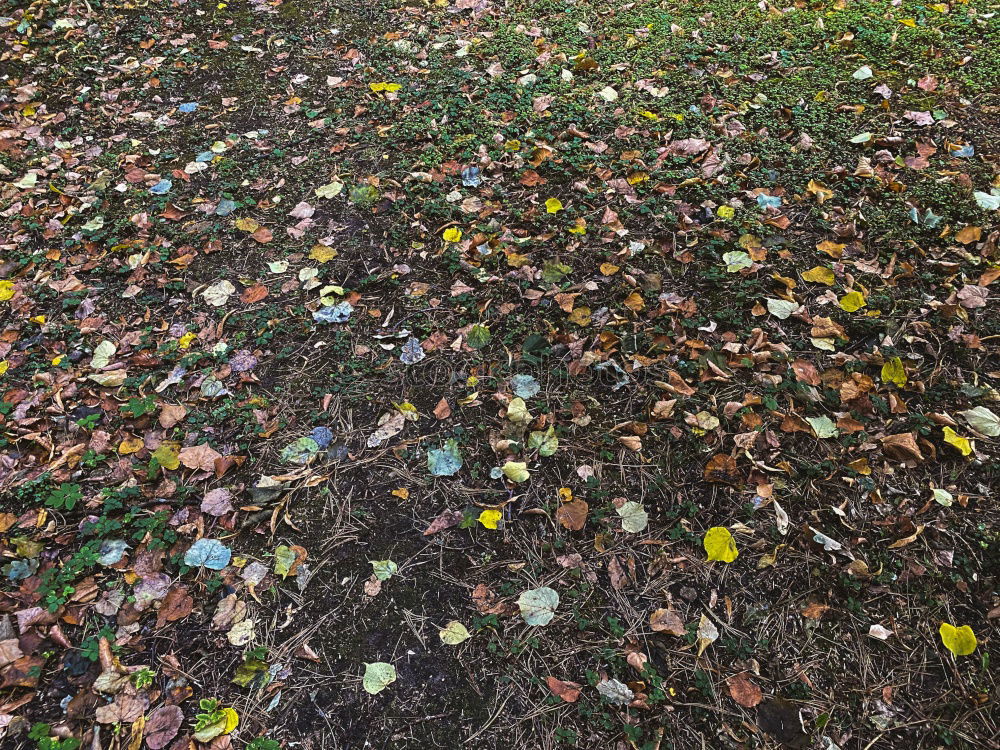 Similar – Geländer umfrieden