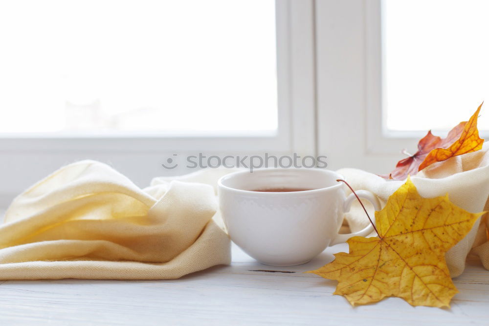 Similar – Image, Stock Photo cozy autumn morning at home. Hot tea and candle