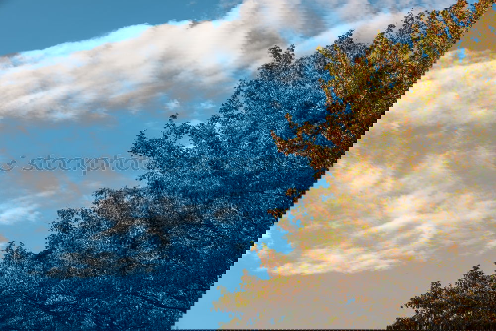 Similar – Foto Bild der totale durchblick