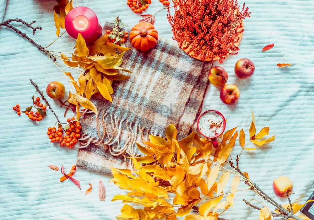Similar – Image, Stock Photo Autumn bouquet of flowers in vase on the table by the window