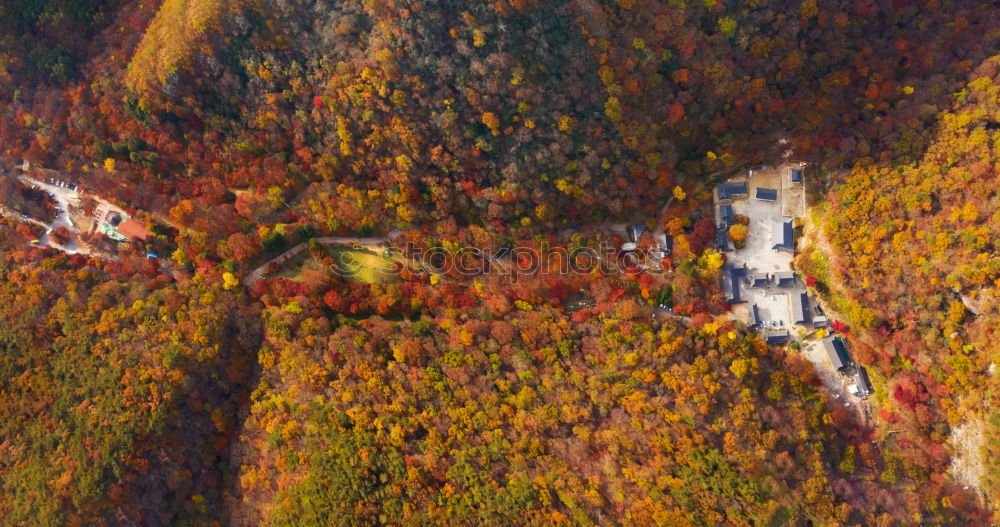 Similar – Curved road in fall forest and village.