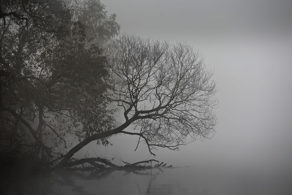 Similar – rest Nature Landscape