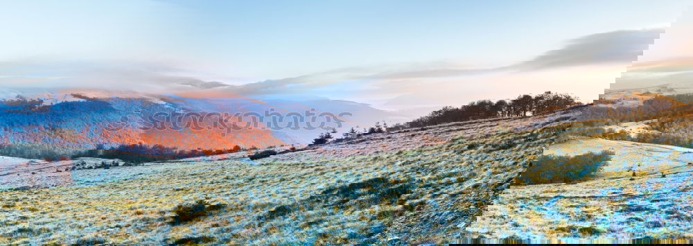 Similar – Image, Stock Photo Black Forest, powdered