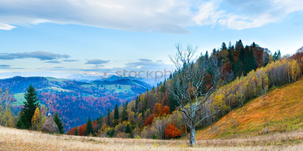 Similar – Image, Stock Photo Muddy hillside in autumn rainy season.