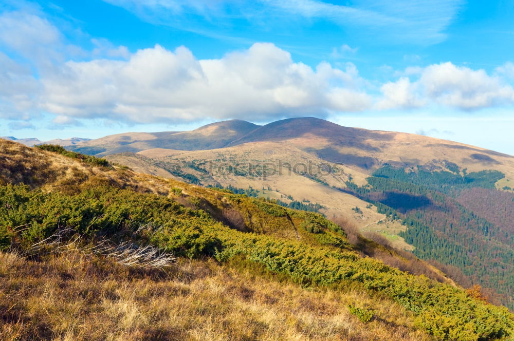 Similar – Image, Stock Photo Autumn Hiking